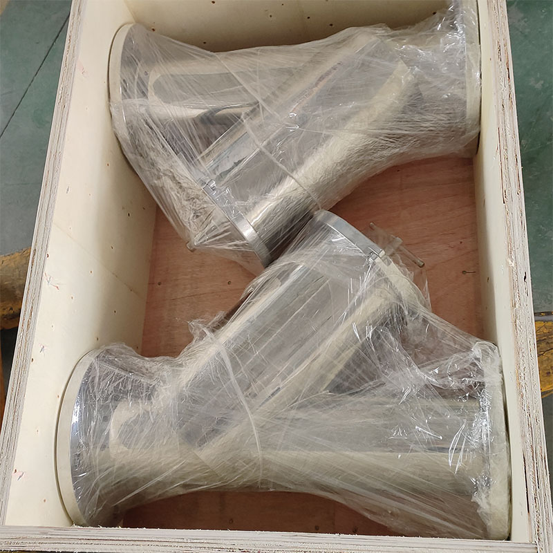 SS304 Y strainer SS304 Y strainer