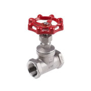 Female Stainless Steel CF8M Globe Valve BSP 200WOG