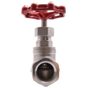Female Stainless Steel CF8M Globe Valve BSP 200WOG