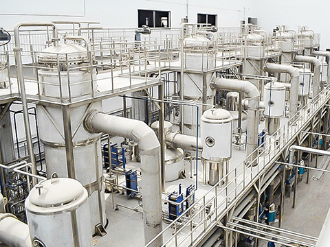 Falling film evaporator