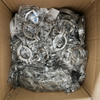 Sanitary Single Pin Clamp