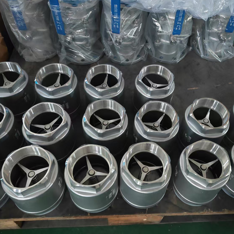 SS304 check valve