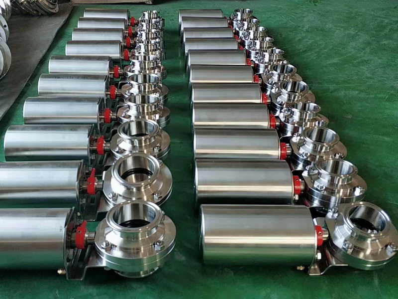 Comparative Analysis of Sanitary Butterfly Valves and Check Valves