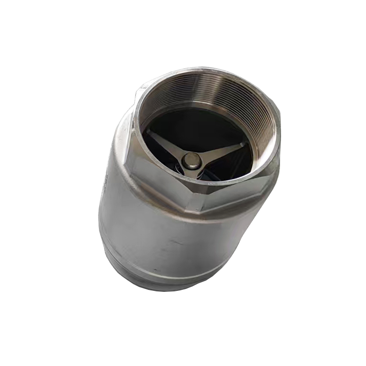 Stainless Steel Industrial SCH Spring Check Valve