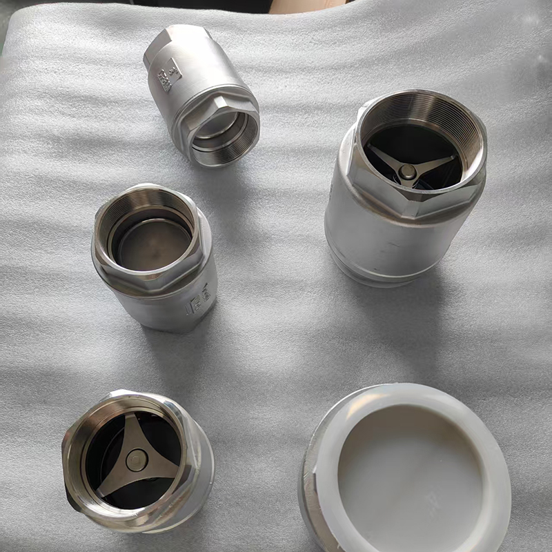 Stainless Steel Industrial SCH Spring Check Valve