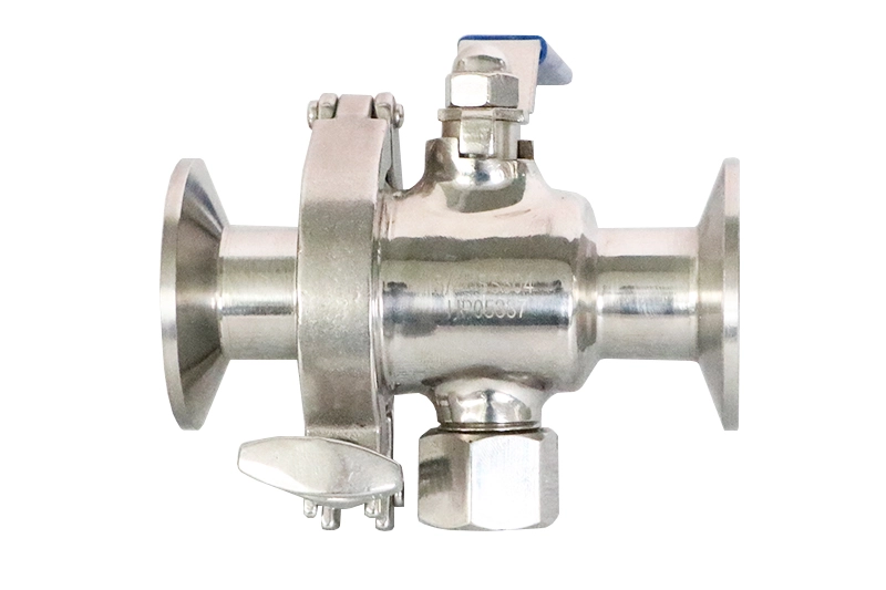 Sanitary valves for high pressure environments2
