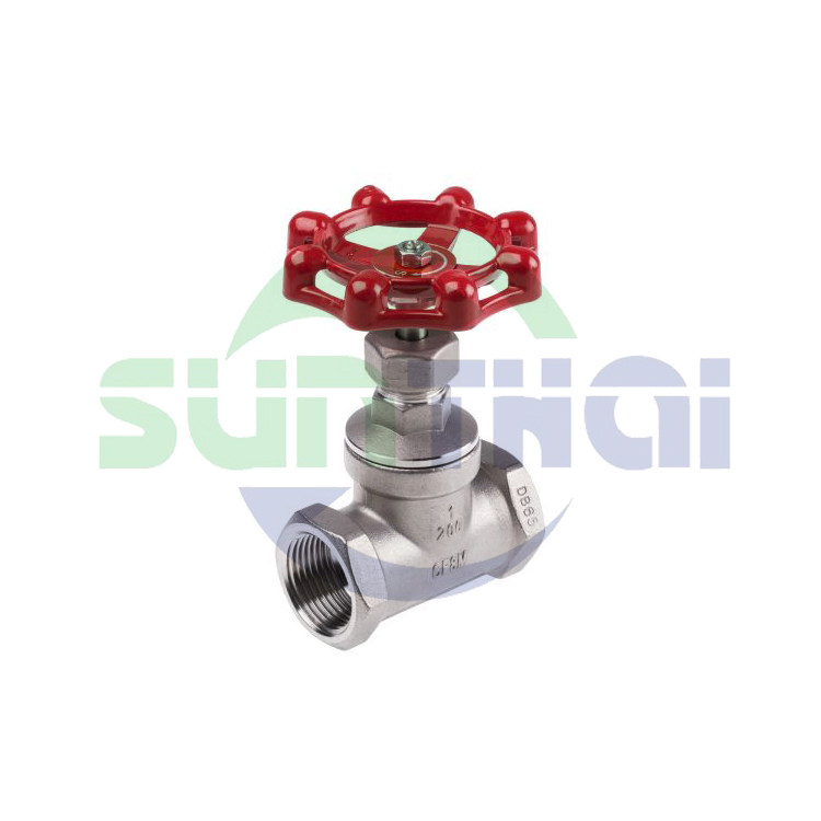 globe valve