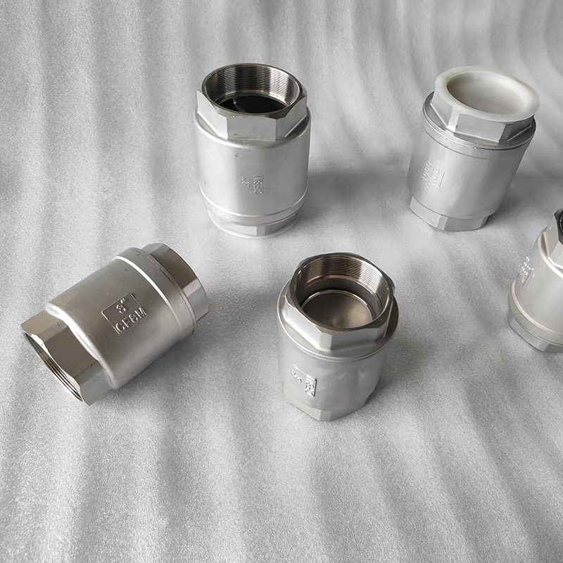 Stainless Steel Industrial SCH Spring Check Valve