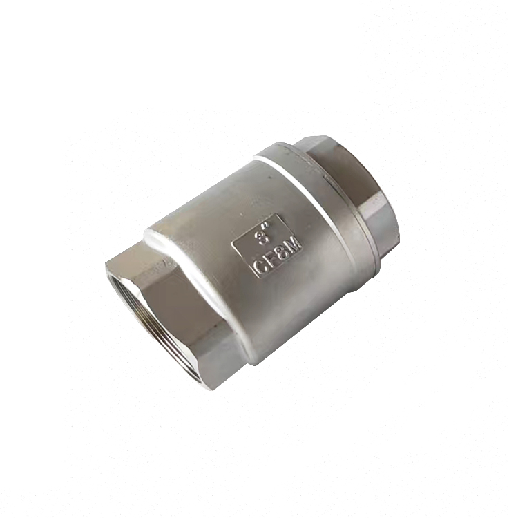 Stainless Steel Industrial SCH Spring Check Valve